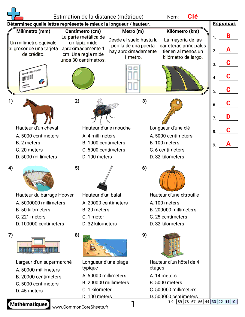 Measurement Fiches d'Exercices sur la Mésure - Estimer une longueur (métrique) worksheet